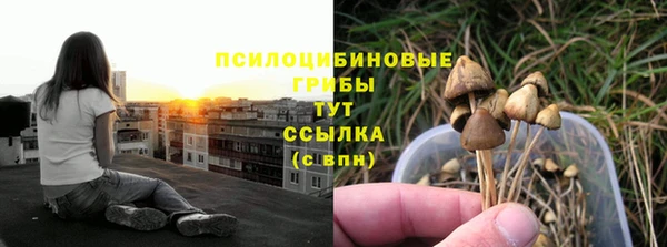 дживик Куйбышев