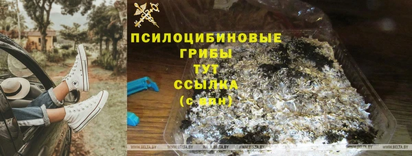 мдпв Красноперекопск