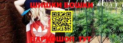молекула духа Волжск