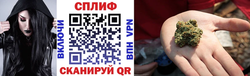 Каннабис конопля Кириши